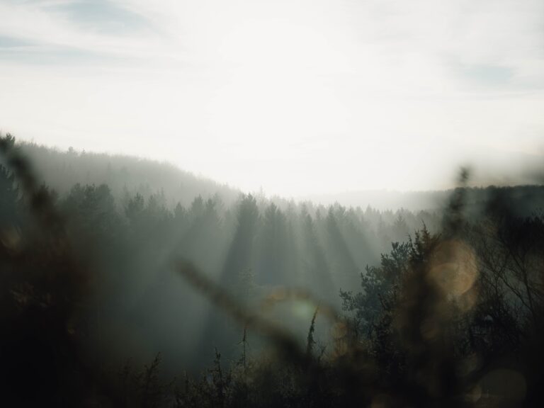 Consejos Ante una Sesión de Fotos